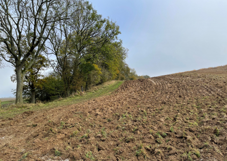 ploughed