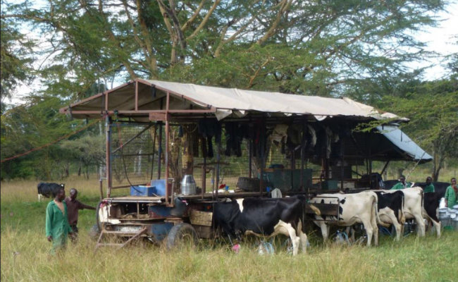 Hamish Grant's Mobile Milking Parlour