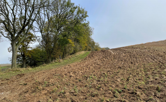 ploughed