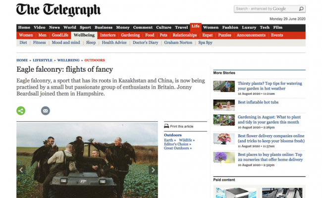 Telegraph featuring Kingsclere Estates Eagle Falconry