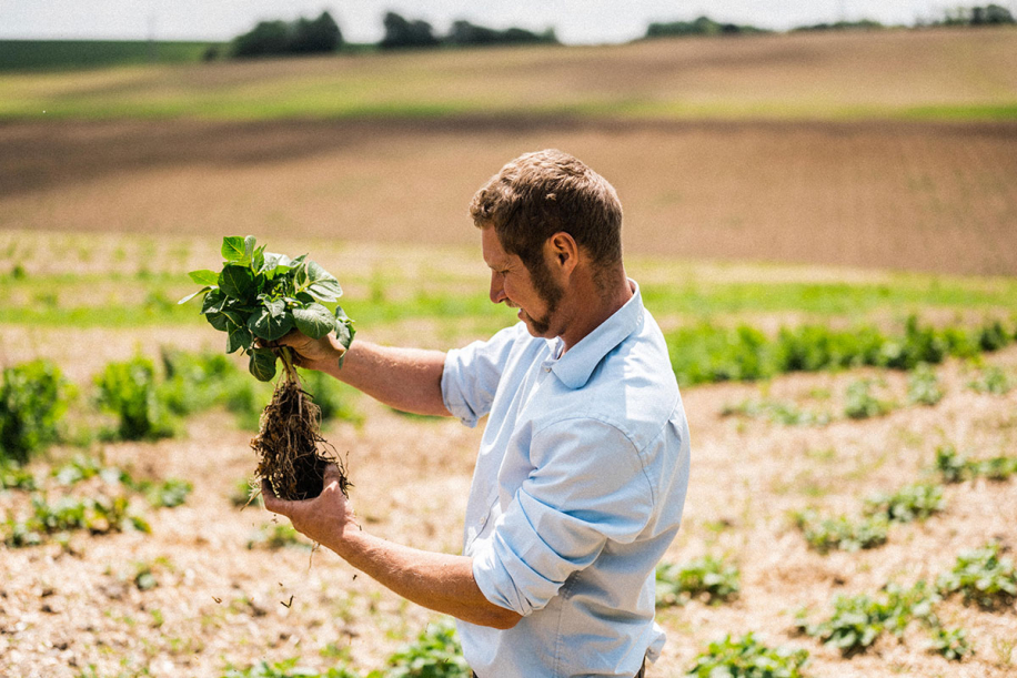 Kingsclere Estates Tim May inspecting roots