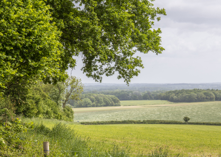 Ibworth Woodlands Burials