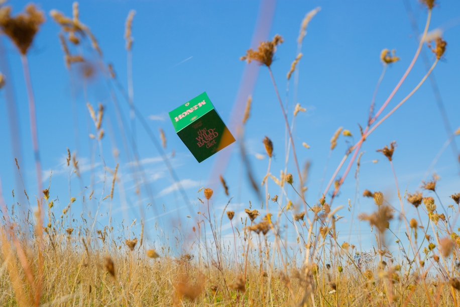 Monch Box in the fields