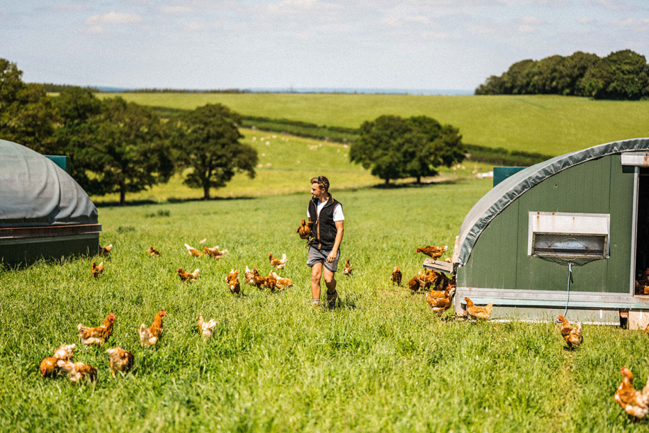 Kingsclere Estates Chickens Join 226