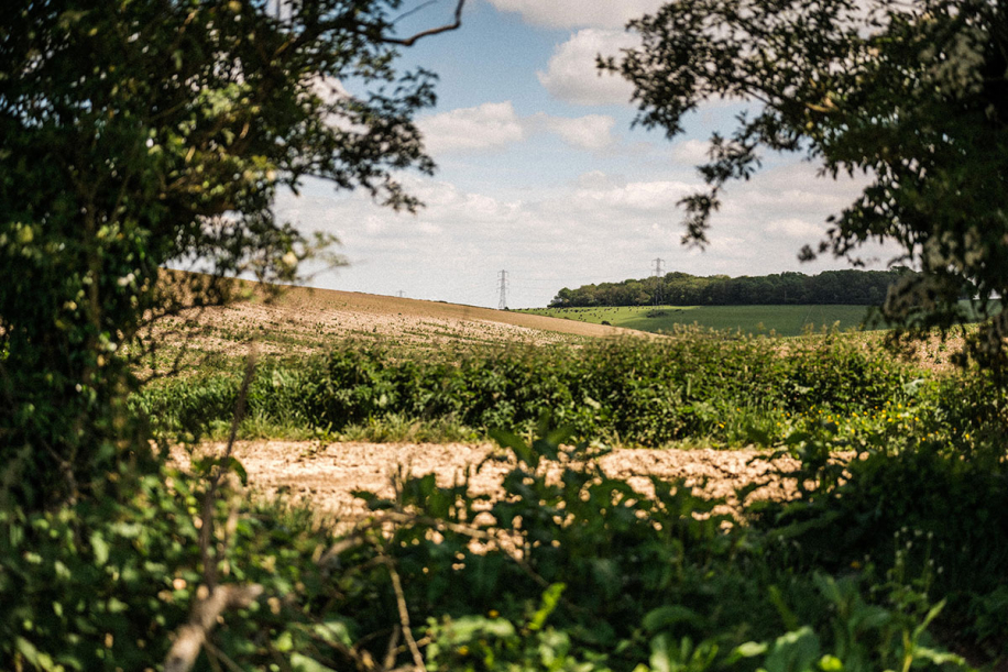 Kingsclere Estates Landscape Soil 185