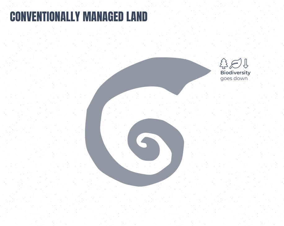 Downward Spiral of Conventionally Managed Land